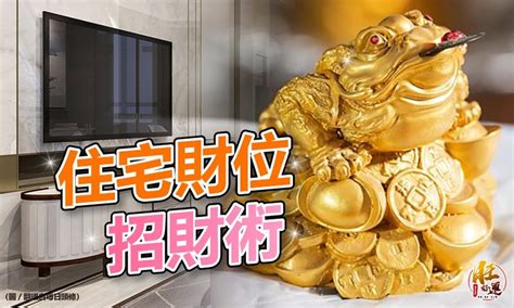 明財位可以放魚缸嗎|誰説財位可放魚缸？專家解密